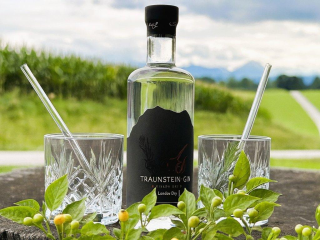 Charapita Traunstein - Gin