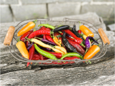 Chiliprodukte